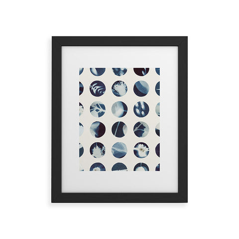 Alisa Galitsyna Botanical Cyanotypes Framed Art Print