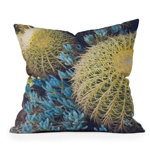 Ann Hudec Desert Cactus Garden Outdoor Throw Pillow