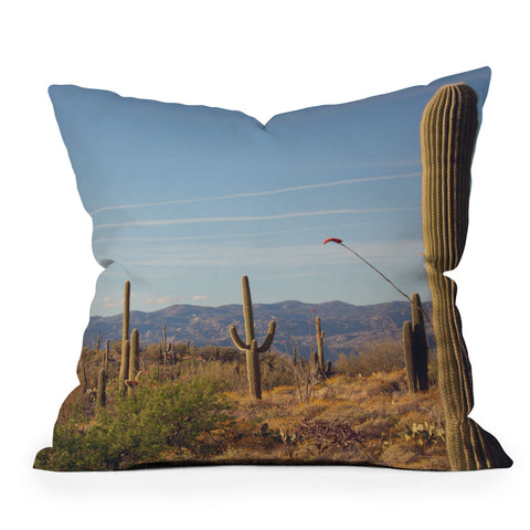 Ann Hudec Desert Heart II Outdoor Throw Pillow
