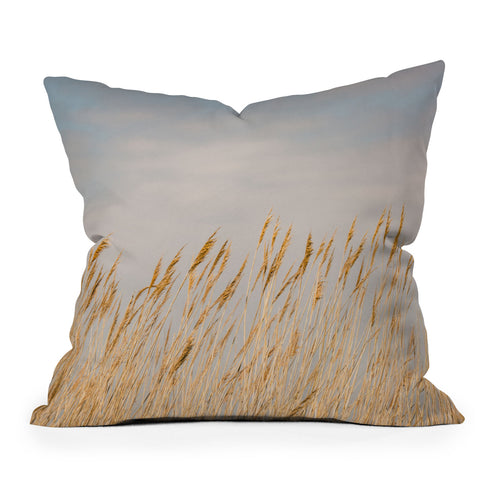 Ann Hudec Nantucket Gold Outdoor Throw Pillow