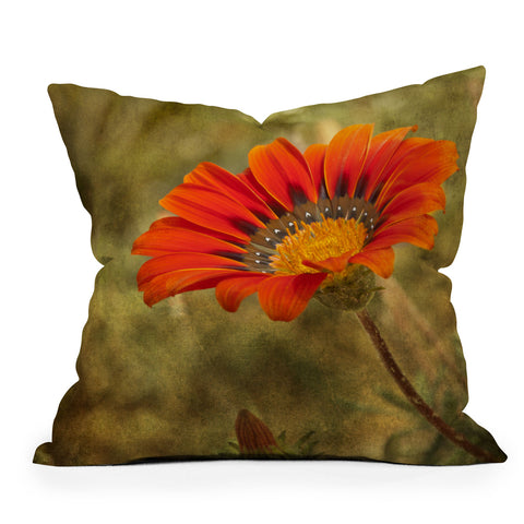 Barbara Sherman Orange Glory Outdoor Throw Pillow