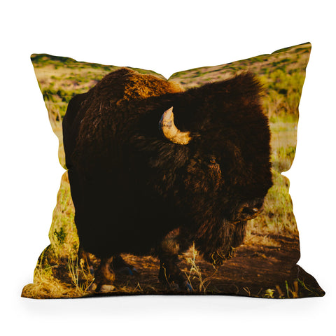 Bethany Young Photography Beauty Beast Outdoor Throw Pillow