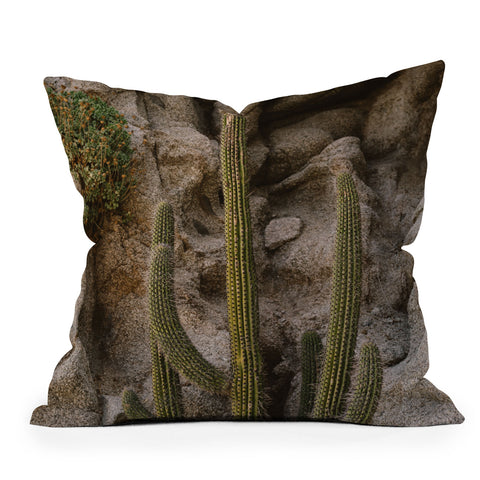 Bethany Young Photography Cabo Cactus III Outdoor Throw Pillow