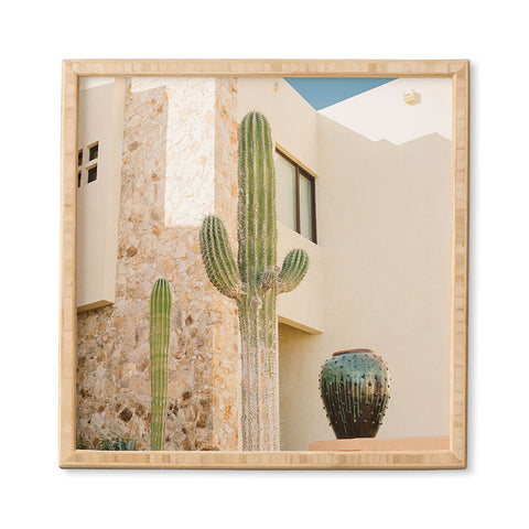 Bethany Young Photography Cabo Cactus VII Framed Wall Art
