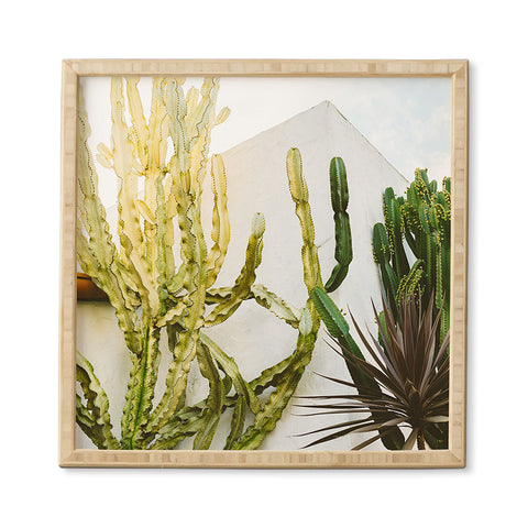 Bethany Young Photography California Cactus Garden Framed Wall Art