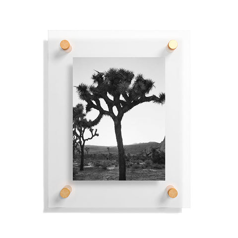 Bethany Young Photography Joshua Tree Monochrome on Film Floating Acrylic Print