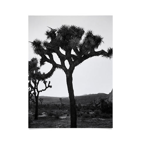 Bethany Young Photography Joshua Tree Monochrome on Film Poster