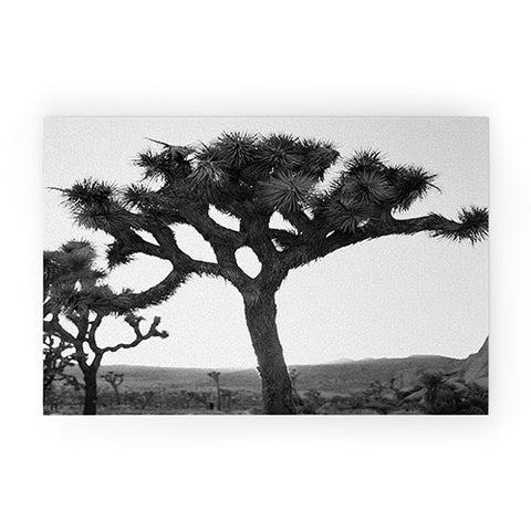 Bethany Young Photography Joshua Tree Monochrome on Film Welcome Mat