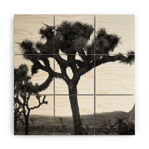 Bethany Young Photography Joshua Tree Monochrome on Film Wood Wall Mural