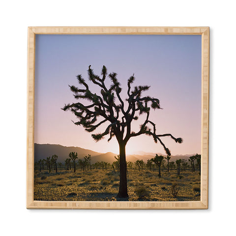 Bethany Young Photography Joshua Tree Sunset II on Film Framed Wall Art