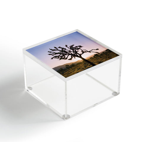 Bethany Young Photography Joshua Tree Sunset II on Film Acrylic Box