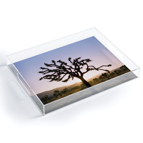Bethany Young Photography Joshua Tree Sunset II on Film Acrylic Tray