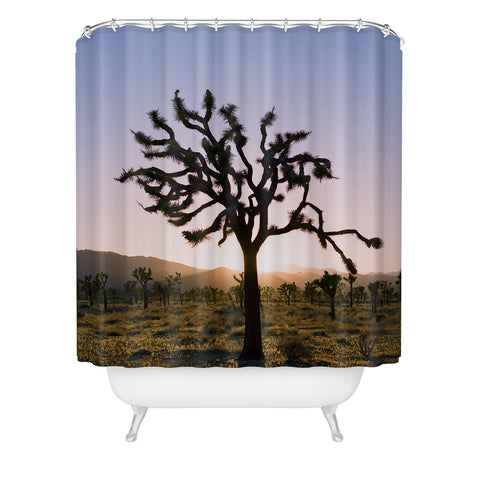 Bethany Young Photography Joshua Tree Sunset II on Film Shower Curtain