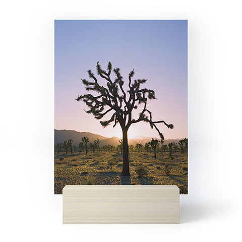 Bethany Young Photography Joshua Tree Sunset II on Film Mini Art Print