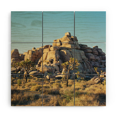 Bethany Young Photography Joshua Tree Sunset on Film Wood Wall Mural
