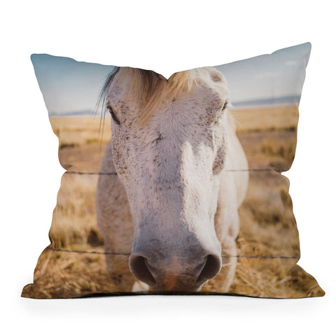 Bethany Young Photography West Texas Wild Outdoor Throw Pillow