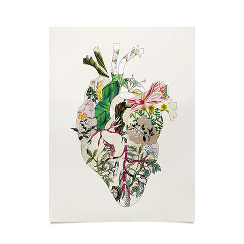 Bianca Green Vintage Botanical Heart Poster