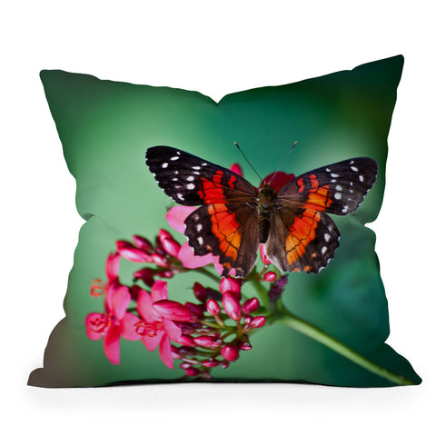 Bird Wanna Whistle Butterfly Outdoor Throw Pillow