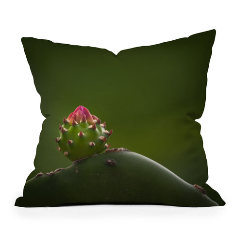 Bird Wanna Whistle Cactus Outdoor Throw Pillow