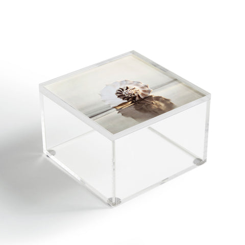 Bree Madden Seashell Acrylic Box