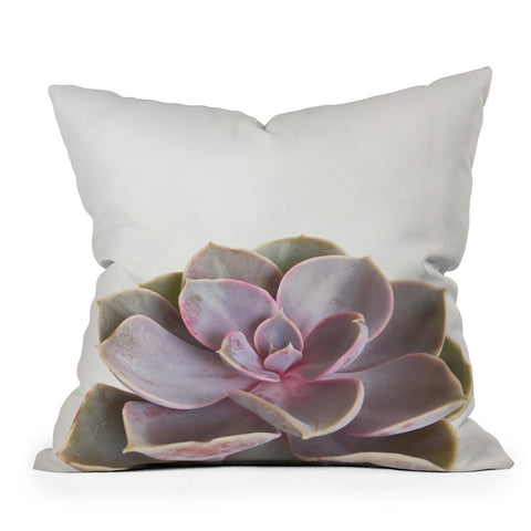 Cassia Beck Purple Succulent Outdoor Throw Pillow