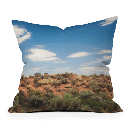 Catherine McDonald Arizona Painted Desert Outdoor Throw Pillow