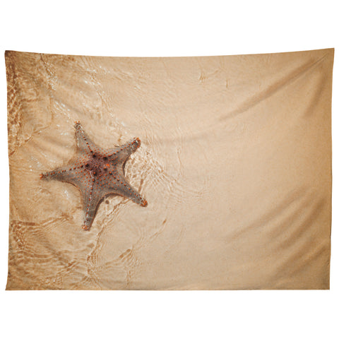 Catherine McDonald Tropical Starfish Tapestry
