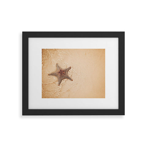 Catherine McDonald Tropical Starfish Framed Art Print