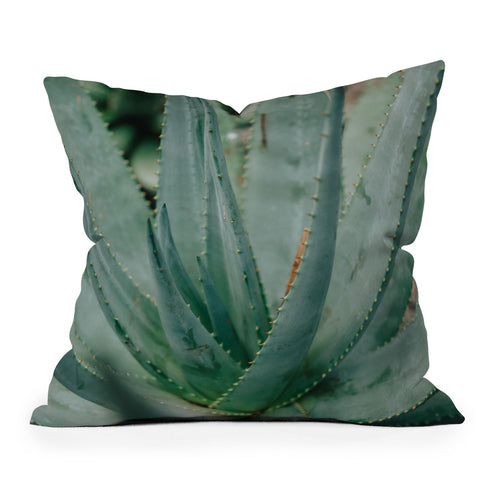 Chelsea Victoria Agave Outdoor Throw Pillow