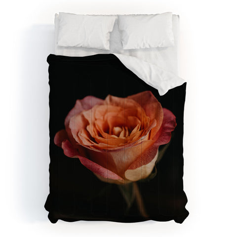 Chelsea Victoria Black Rose Comforter