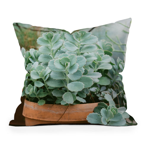 Chelsea Victoria Mint Green Succulent Outdoor Throw Pillow