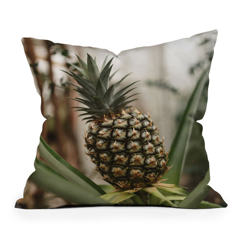 Chelsea Victoria Pick A Pineapple Outdoor Throw Pillow