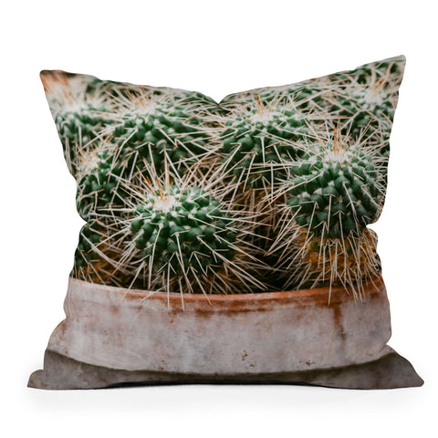 Chelsea Victoria Potted Cactus Outdoor Throw Pillow