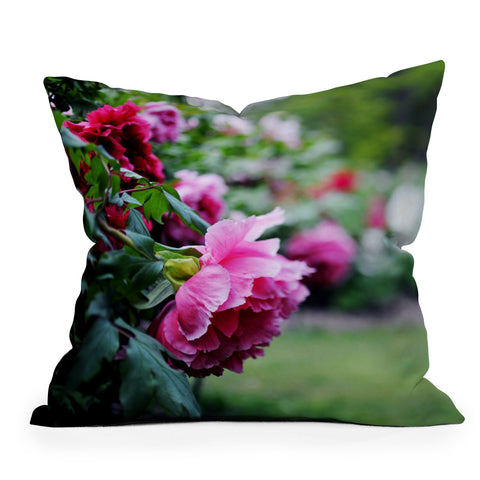 Chelsea Victoria Rise And Fall Outdoor Throw Pillow
