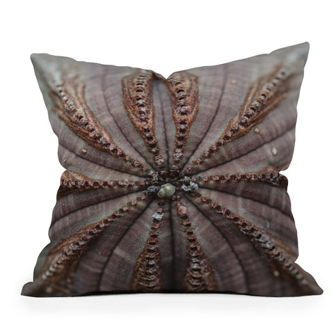 Chelsea Victoria Succulent Lace Outdoor Throw Pillow