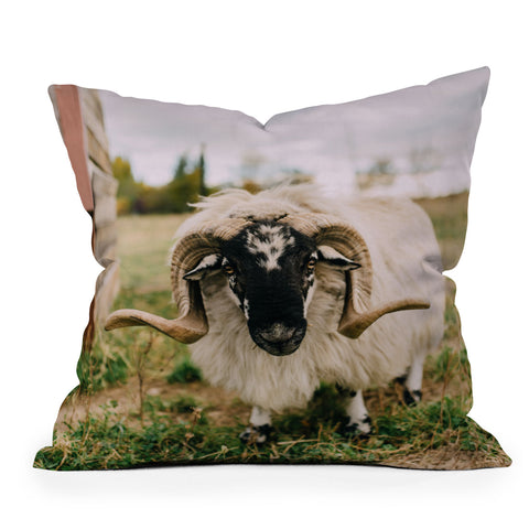 Chelsea Victoria The Curious Sheep Outdoor Throw Pillow