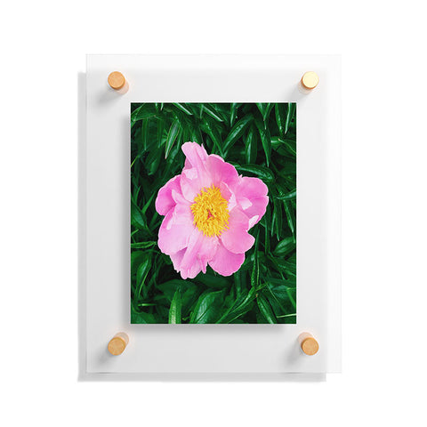 Chelsea Victoria The Peony In The Garden Floating Acrylic Print