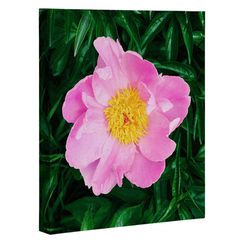 Chelsea Victoria The Peony In The Garden Art Canvas
