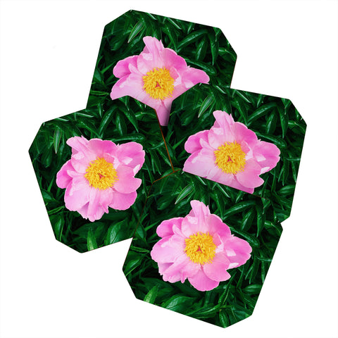 Chelsea Victoria The Peony In The Garden Coaster Set