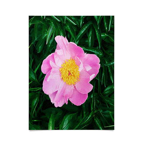 Chelsea Victoria The Peony In The Garden Poster