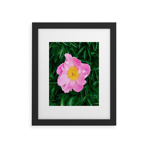 Chelsea Victoria The Peony In The Garden Framed Art Print
