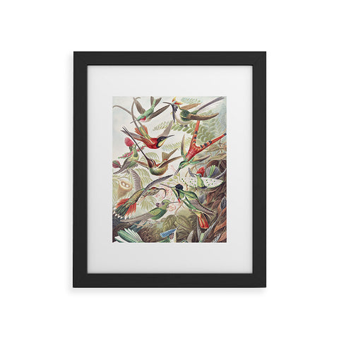 Dagmar Pels Hummingbirds 20 Framed Art Print