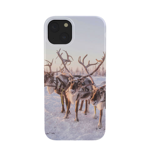 Dagmar Pels Reindeer portrait in snow Phone Case