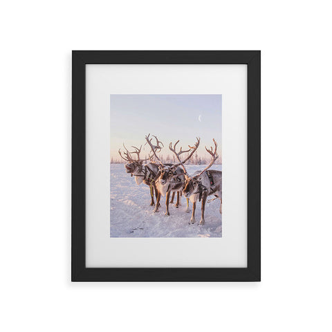 Dagmar Pels Reindeer portrait in snow Framed Art Print