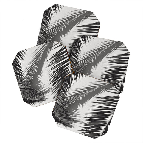 Dagmar Pels Tropical Palms Shadow Coaster Set