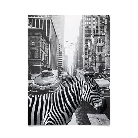 Dagmar Pels Zebra in New York City Poster