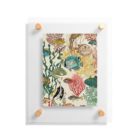DESIGN d´annick coral reef deep silence Floating Acrylic Print
