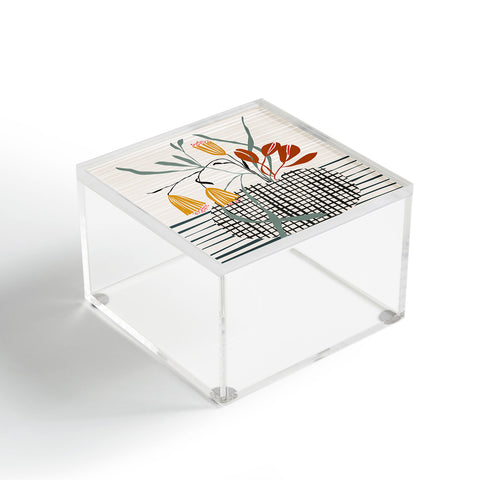 DESIGN d´annick midcentury plant pot Acrylic Box