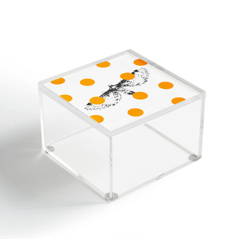 Elisabeth Fredriksson Moth Acrylic Box