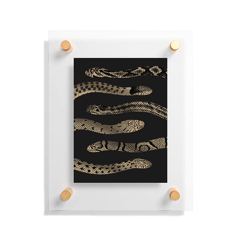 Emanuela Carratoni Vintage Golden Snakes Floating Acrylic Print